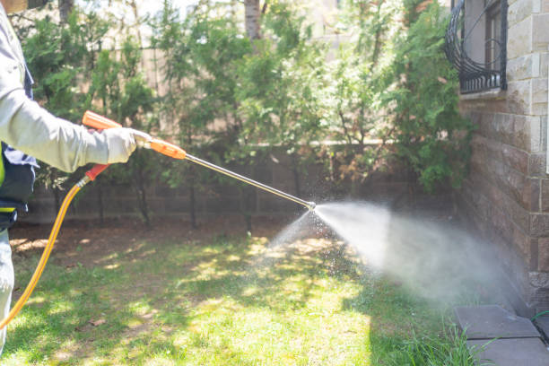 Best Local Pest Control Services  in Bal Harbour, FL