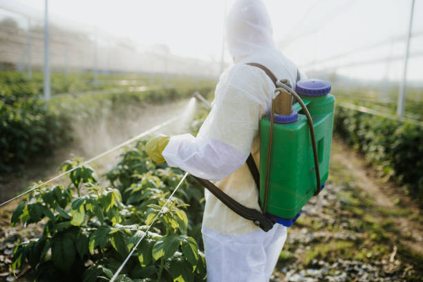 Pest Prevention Services in Bal Harbour, FL